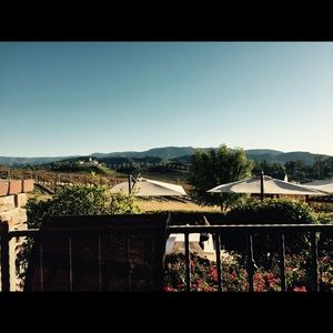 Meet your Posher, Rosa